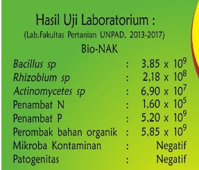 Uji dan Aplikasi BN 12 B (1)